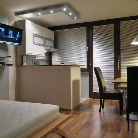 Kaprunski 2 Apartment